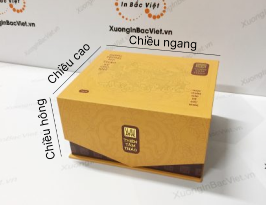 Kích thước hộp cứng nam châm